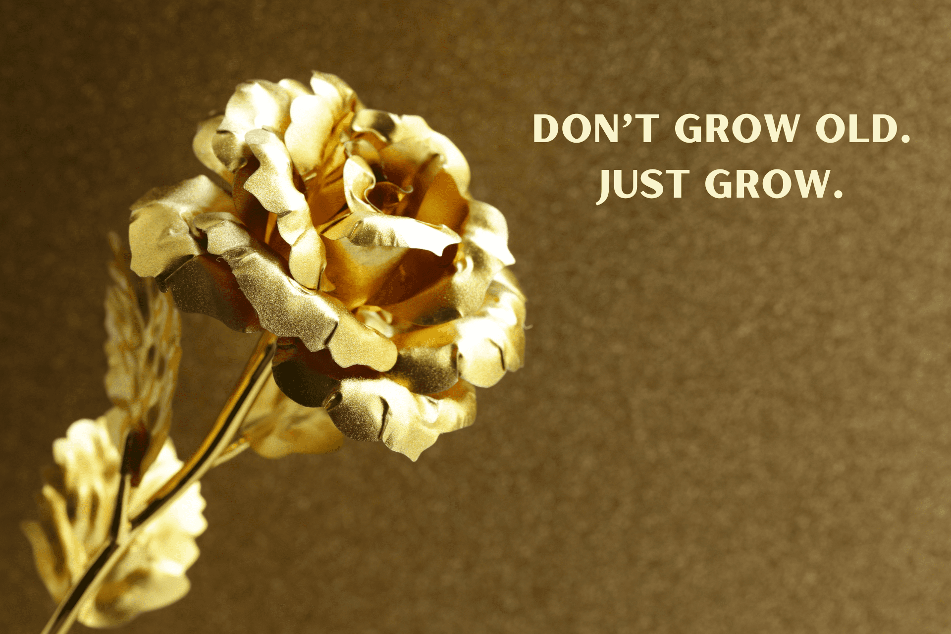 Don’t Grow Old. Just Grow.