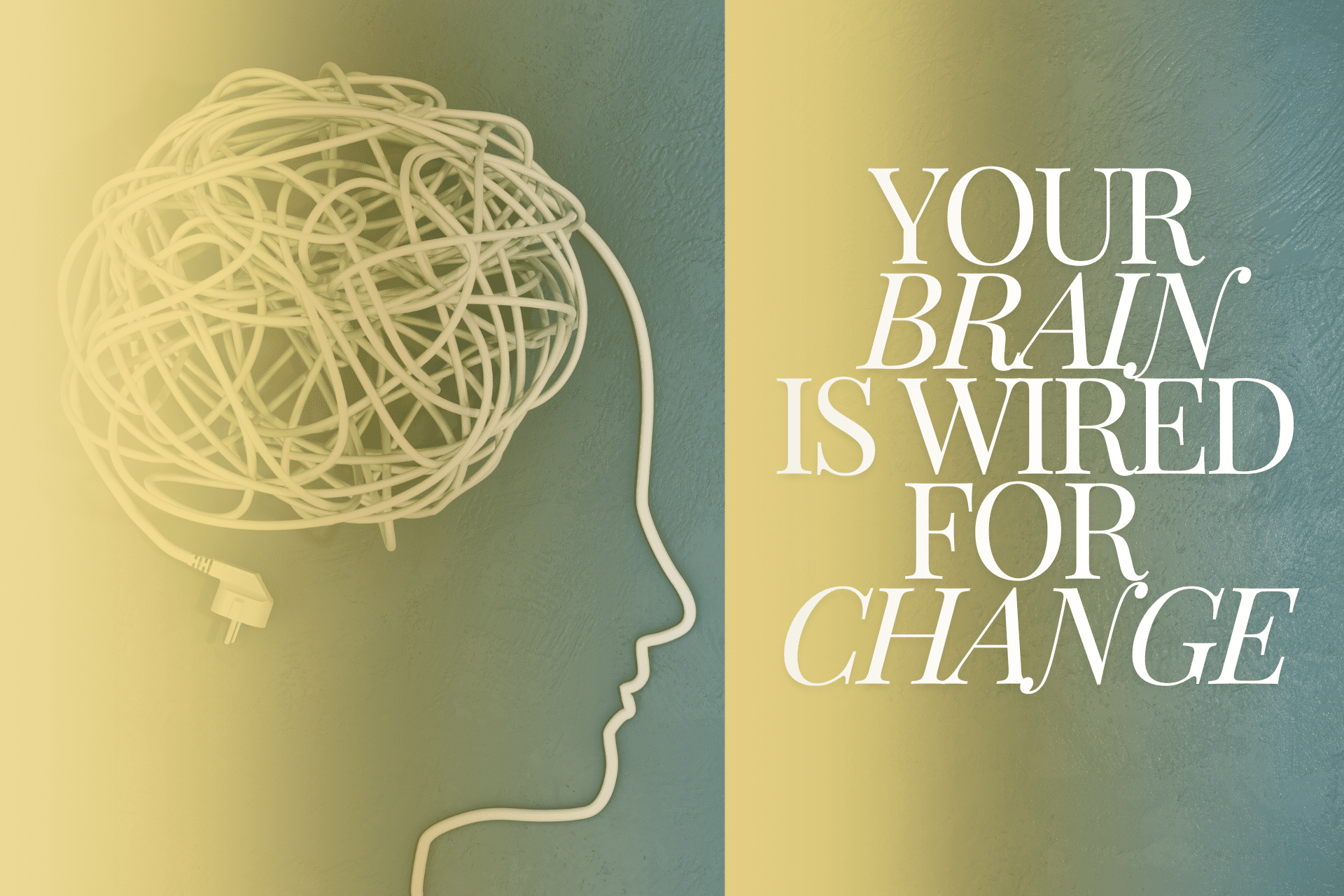 Wired for Change: How Your Brain Adapts (or Resists) Life’s Transitions